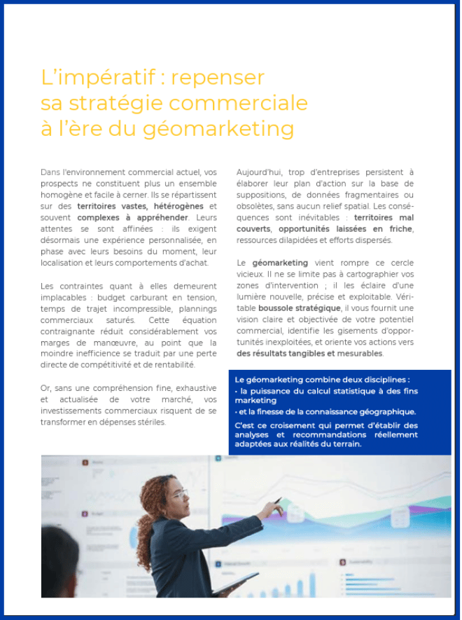 vignette LB géomarketing Directions Commerciales-2