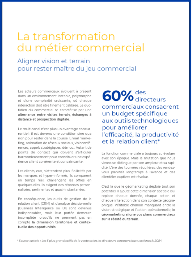 vignette LB géomarketing Directions Commerciales-4